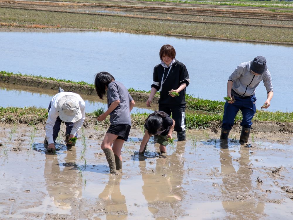 【開催レポート】田植え体験会を実施しました！